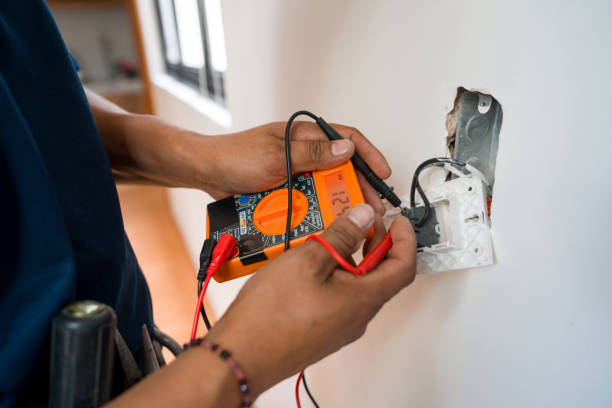 Best Electric Panel Repair  in Evart, MI
