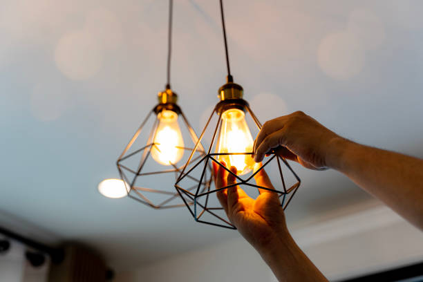 Best Electrical System Inspection  in Evart, MI